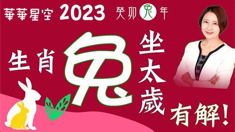 屬兔流年|2024 肖兔流年運程 